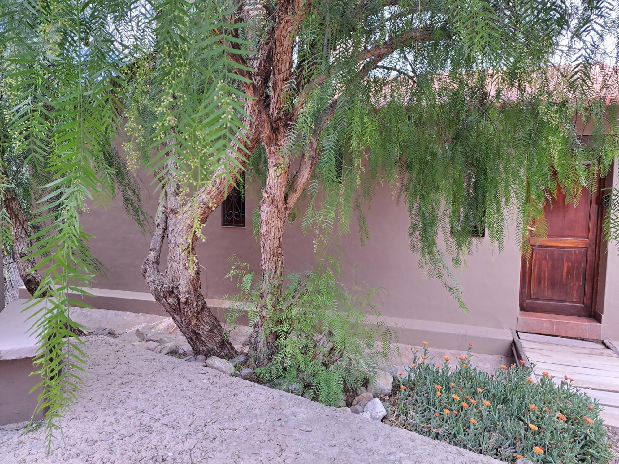 Casa En Tilcara Con Hermosa Vista Al Pucara المظهر الخارجي الصورة